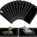 20 Pack Sticky Mouse Trap Rat Traps Indoor, Peanut Taste Pheromone Mouse Traps Indoor for Home, Glue Sticky Traps for Mice and Rats, Snake(Large Size)