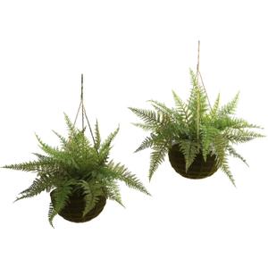 Nearly Natural Leather Fern with Mossy Hanging Basket (Indoor/Outdoor) (Set of 2)