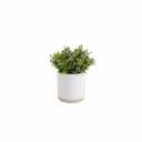 Artificial Potted Plant, 11"