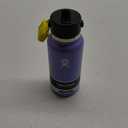 Hydro Flask Wide Flex Straw Cap Lupine 32 Oz