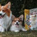 Small Breed Organic Turkey & Oats, Best By: MAR 20 2026