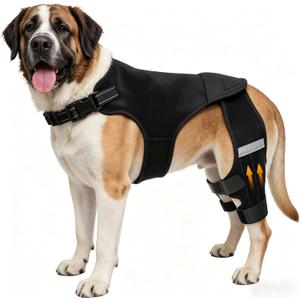 Dog Knee Braces for Torn ACL Hind Leg, Adjustable Dog Leg Braces for Back Leg with 4 Stabilizers for Luxating Patella Relieves Ligament Injury and Joint Pains