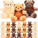 HyDren 24 Pcs Bear Stuffed Animal Plush Gift Bulk 12 Inches Soft Stuffed Animals Small Sleeping Playing Bear Toys for Class of 2025 Graduation Baby Shower Birthday Decoration(Colorful)