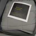 Mr. Sandman Weighted Blanket for Adults Queen Size 15 lbs, Soft Cooling Heavy Minky Blanket for Sleep, Washable Throw Blanket with Glass Beads, 60 x 80 Inches, Grey