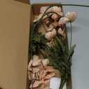 IPOPU Artificial Poppy Silk Flowers 6pcs Poppy Flowers Artificial Realistic Faux Flowers for Vase for Home Decor Indoor for Wedding Centerpieces Bridal Shower Party Decorations (Champagne)