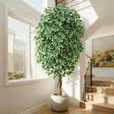 6.2ft Ficus Artificial Trees with 3 Natural Curved Trunks, 74" Tall Lush Faux Tree for Home Decor Indoor, Green Lifelike Fake Ficus Tree 1pcs