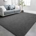TWINNIS Large Area Rugs for Living Room Bedroom, 4x6 Feet, Super Soft Indoor Thickened Memory-Foam Carpets Easy-Cleaning, Modern Aesthetic Minimalist Comfy Rug for Kids Room Home Decor, Dark Grey