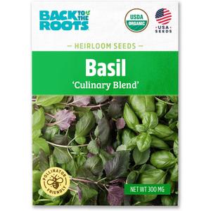 5 x Back to The Roots 100% Organic Seed Packet - Basil 'Culinary Blend' 300mg