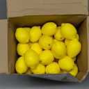 Cindeer Fake Lemons Fake Fruit Faux Yellow Lemon Decor Lifelike Simulation Artificial Fruit for Party Table Summer Kitchen Vase Filler Wreath Garland Photography Decoration(3.1 x 2.1 Inch,100 Pcs)