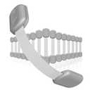 Baby Proofing Child Safety Locks (16 Pack) by Skyla Homes - The Safest, Quickest and Easiest 3M Adhesive Cabinet Latches, No Screws & Magnets, Multi-Purpose for Furniture, Kitchen, Ovens, Toilet Seats (Gray)