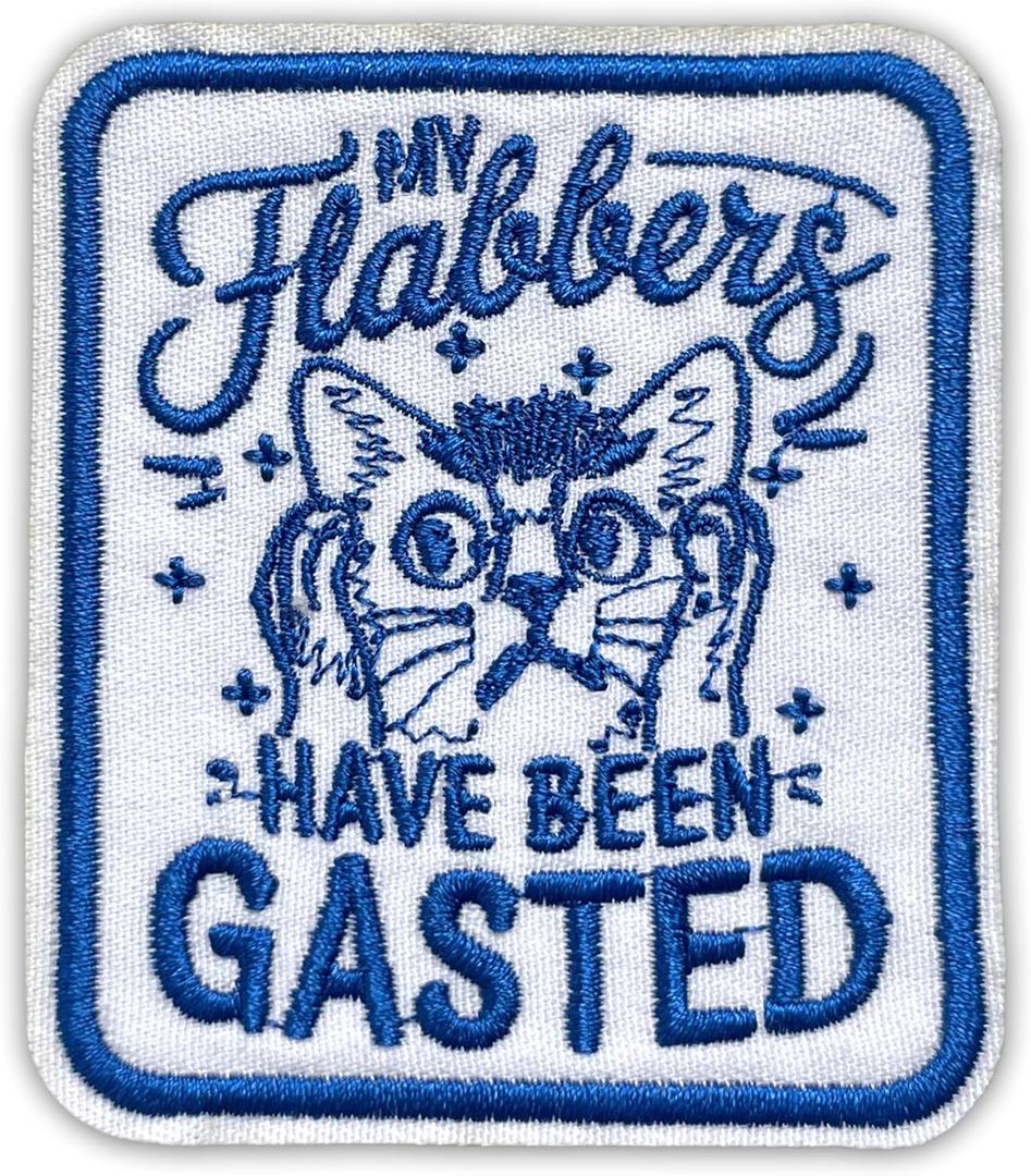 2 x My Flabbers Have Been Gasted Patch 3 Inches Funny Cat Cute Mental Health Meme Humor Iron On/Sew On Embroidery Fabric Applique Patches for Trucker Hat Clothes Backpack DIY Accessories Friend Gift