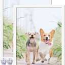 14x18 Picture Frame Set of 2, White Photo Frames High Transparent Wall Gallery Desktop Horizontal Vertical for Canvas Collage Photo Poster Certificate 14 x 18 inches
