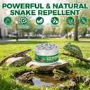 4 Pack Natural Peppermint Lizard Repellent | Lizard Repellent for Outdoor Yard Garden House | Long-Lasting Protection | Safe for Dogs and Children