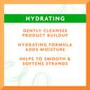Cantu Avocado Hydrating Sulfate-free Shampoo with Pure Shea Butter, 13.5 oz (Pack of 2)