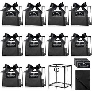 Tenare 12 Pack 42.84.5 Inch Easter Mini Clear Plastic Gift Bags with Handles Wedding Extra Small Transparent Party Favor Bags Bulk with Ribbon Tissue Paper for Easter Party Supplies(Black)