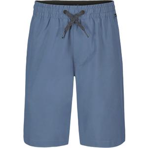 Quiksilver Boys' Pull-on Amphibian Hybrid Shorts, Comfort Stretch Fabric, Water Friendly (10-12, Stormy Seas Taxer)