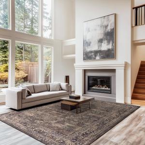 9x12 ft Area Rug – Boho Indoor Rug, Non-Slip, Machine Washable, Low Pile Large Rug for Living Room, Bedroom, Dining Room