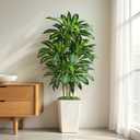 5FT Artificial Dracaena Tree - High-Density Foliage Fake Plant with White Tall Planter - Faux Yucca Floor Plant for Home Office Decor Indoor