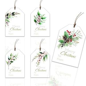 Christmas Paper Gift Tags with Rope, Hanging Labels for Gift Present Wrapping, for Holiday Decorations (Watercolor, 100pcs/5Designs)