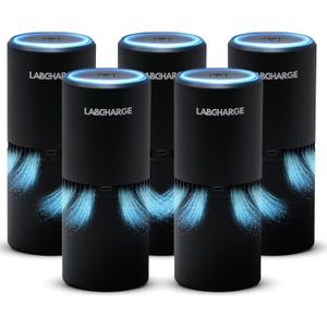 LabCharge Small Ionic Air Purifier for Home & Bedroom  Silent HEPA Filter  Covers 250 Sq Ft - Free Cleaner for Pets, Hair, Smoke, Dust, Odors & Dander  Compact & Black Design - Pack of 5