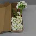 24 PCS Ranunculus Artificial Flowers, 15/10 in Fake Peonies White Faux Flower Bulk Real Touch for Wedding Engagement Centerpieces Arrangements Bridal Shower Home Decor (White)