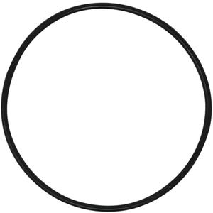 AppliaFit Tank O-Ring Compatible with Hayward DEX2400K for Micro-Clear DE, Pro-Grid DE, Super Star Clear and SwimClear Filters (1-Pack)