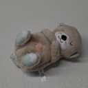 Fisher-Price Baby Toy Soothe 'n Snuggle Otter Portable Plush Sound Machine with Music Lights & Breathing Motion for Newborns 0+ Months (1 Count (Pack of 1))