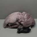 Electric Heated Blanket Twin Size 62x84 Inch - Super Soft Flannel, 10 Heat Settings, 1-12H Auto Shut Off, Machine Washable, Safe for Overnight Use (Purple)