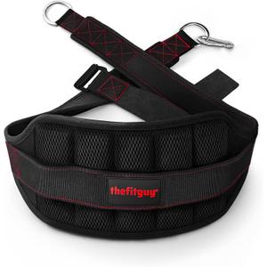 THEFITGUY Ultimate Belt for Belt Squats, Rack Attachment and Squat Machine, Structured Back Support, Stays Low During Down Movement, Padded Hip & Thigh Area, Buckle Strap - No Sliding Down, Heavy Duty