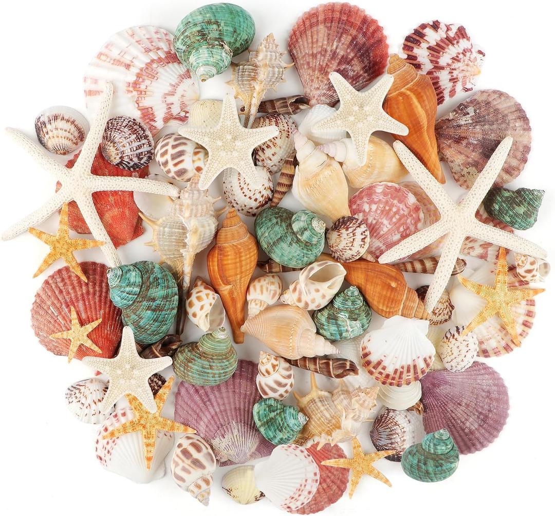 Jangostor Sea Shells Mixed Ocean Seashells, 1.2"-3.5" Various Sizes Beach Seashells and Natural Starfish for Vase Fillers Fish Tank Beach Themed Party Home Wedding Decorations DIY Crafts