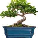 Teagas Bonsai Pots 11.6 Inch - Ceramic Succulent Pots with Drainage Hole, Rectangular Planter for Indoor Outdoor, Decorative Ceramic Flower Pot, Home Garden Room Decor, Plant Lover Gifts, Retro Blue