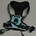 HEELE Dog Harness Dog Harness Small Dog No Pull Harness wiht Soft Handle Reflective Harness Adjustable, Turquoise, XS
