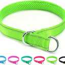 Reflective Slip Dog Collar, Loop Dog Collar for 44-75 lbs Dogs Nylon Training Collars with Soft Padded for Medium Dog Collars Green 1" W x 22" L (Fits Neck 15.7"-19.7")