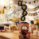 Gejoy Graduation Party Decoration 9 Inch Graduation Bear Grad Bear Bouquets Decor Class of 2026 with Bobo Balloon Table Centerpiece Graduate Gift Ideal for Her College Grad Party