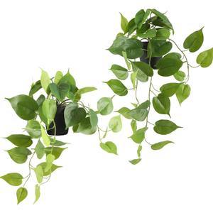 Artificial Pothos Hanging Plants 2 Pack with Pots, Realistic Fake Hanging Plants Indoor, Faux Greenery Vines for Shelf, Bathroom, Living Room, Office Decor