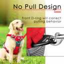 ThinkPet No Pull Harness Set Breathable Sport Harness with Handle - Reflective Padded Dog Safety Vest with Reflective Neon Dog Leash L Harness Leash Pack Red