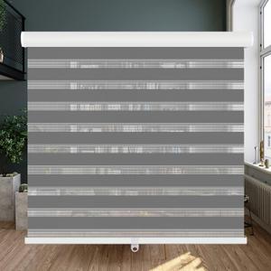 LUCKUP Cordless Zebra Blinds Roller Shades for Window-Dual Layer Sheer Blinds Light Control with Valance Day Night Privacy Light Filtering Fabric, 20" W x 72" H, Dark Grey