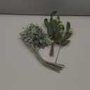 Janinka Mixed Eucalyptus Leaves Stems Bulk with White Seeds Artificial Silver Dollar Leaves Sprays Faux Oval for Wreath Garland Floral Bouquets Arrangement Wedding Greenery Decoration (20 Pcs)