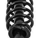 Rear Right Suspension Strut and Coil Spring Assembly 171373R