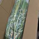Artificial Plant, 47in Tall, 2pk Grass, Faux House Plant in Pot, Indoor Decorative Flowers & Plants, Housewarming Gift (4ft)