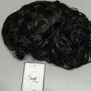 Baruisi Short Curly Mens Black Wig Fluffy Synthetic Cosplay Halloween Hair Wig for Men