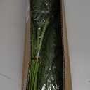 16 Pcs Real Touch Norfolk Pine Branch -18" Artificial Christmas Green Plants Branches Faux Greenery Stem Fake Cedar Pine Picks for Vase DIY Crafts Garland Wreath Xmas Indoor Outdoor Home Decor