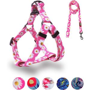QQPETS Dog Harness Leash Set Adjustable Heavy Duty No Pull Halter Harnesses for Small Medium Large Breed Dogs Back Clip Anti-Twist Perfect for Walking (S(14"-20" Chest Girth), Daisy)