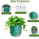 Halatool 2 Pack Hanging Planters Indoor Plant Pots, 6.5" & 8.3" Self Watering Hanging Basket Flower Pot, Translucent Plant Hanger with Drainage Holes for Garden Home Wall Decor (Peacock Green)