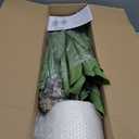 UPBUD Artificial Dracaena Tree, 5FT Tall Fake Plant, Faux Yucca Floor Plant