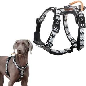 ANDA Easy Walk Dog Harness: Lightweight, Secure, and Comfortable, Balance Buckle-Neck Design, 5-Point Adjustable Harness with Handle for Daily Walks and Training (Large)