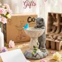 Nacome Solar Cat Statue for Garden Decor: IP44 Weatherproof Resin with Automatic Lighting - No Installation- Outdoor Yard Patio Balcony Art - Birthday Gifts for Bird Lovers Mom Grandma Women