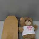 Civaner Big Sister Gifts for Girls 9.8" Bear Stuffed Animal with Removable White T-Shirt Pink Skirt Big Sister Plush Bear to Celebrate Girl Promoted to Sis Newborn Siblings Baby Shower Birthday Gift