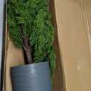 36’’ Cedar Pine Tree with Pot 36’’ Realistic Artificial Small Christmas Tree with Pot for Front Porch Stairs Indoor Outdoor Christmas Decorations
