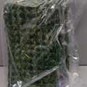 Silkfly 2 Pieces Bearded Dragon Hammock Lizard Reptile Climbing Lounger Seagrass Fiber Habitat Tank Accessories for Hermit Crab Gecko Snake Iguana (30 x 7 Inch,Rectangle,Green)